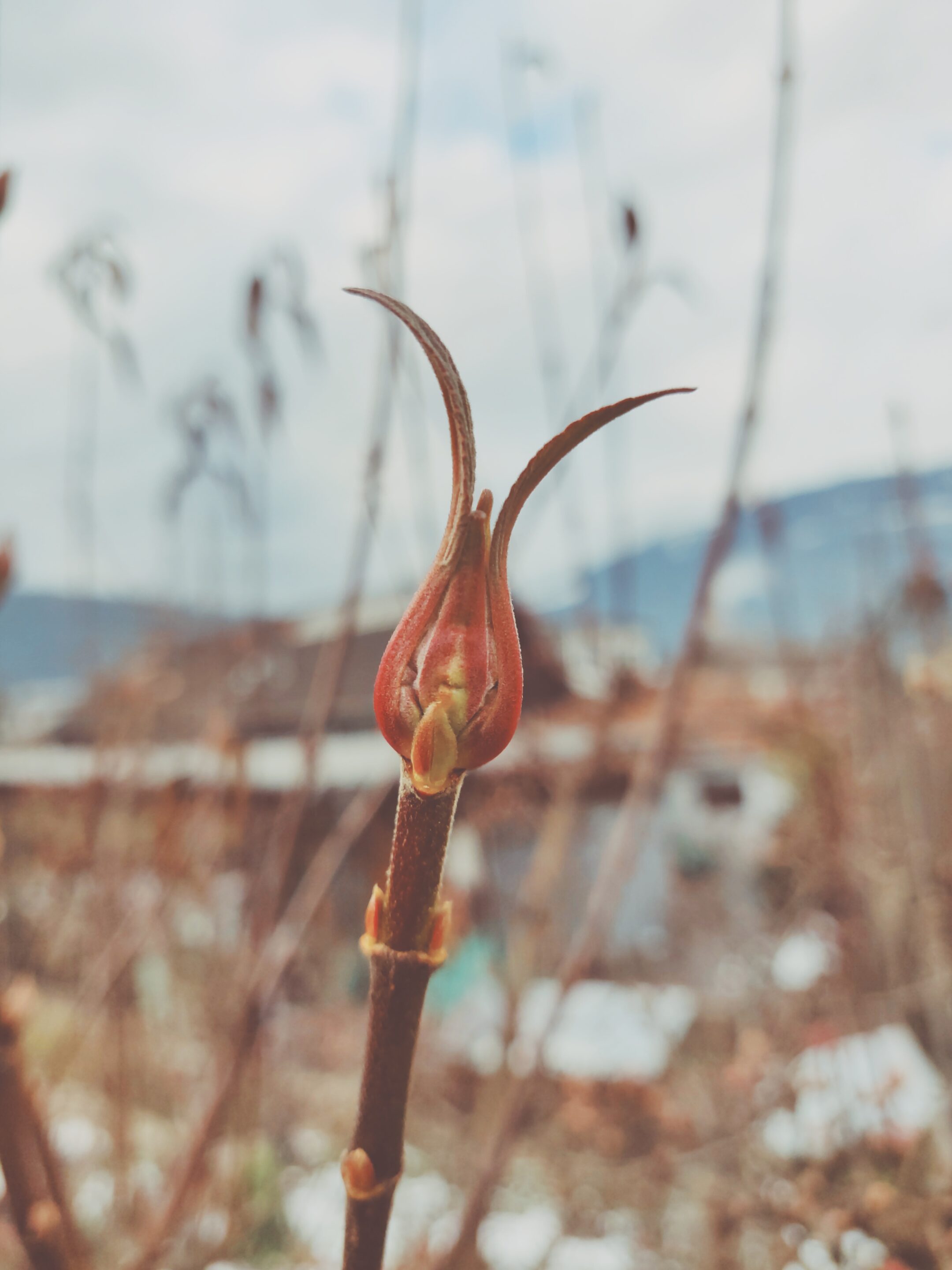 Processed with VSCO with kp7 preset